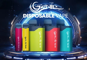 Genie Air Disposable Vape