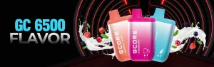 Gcore Gc6500 Disposable